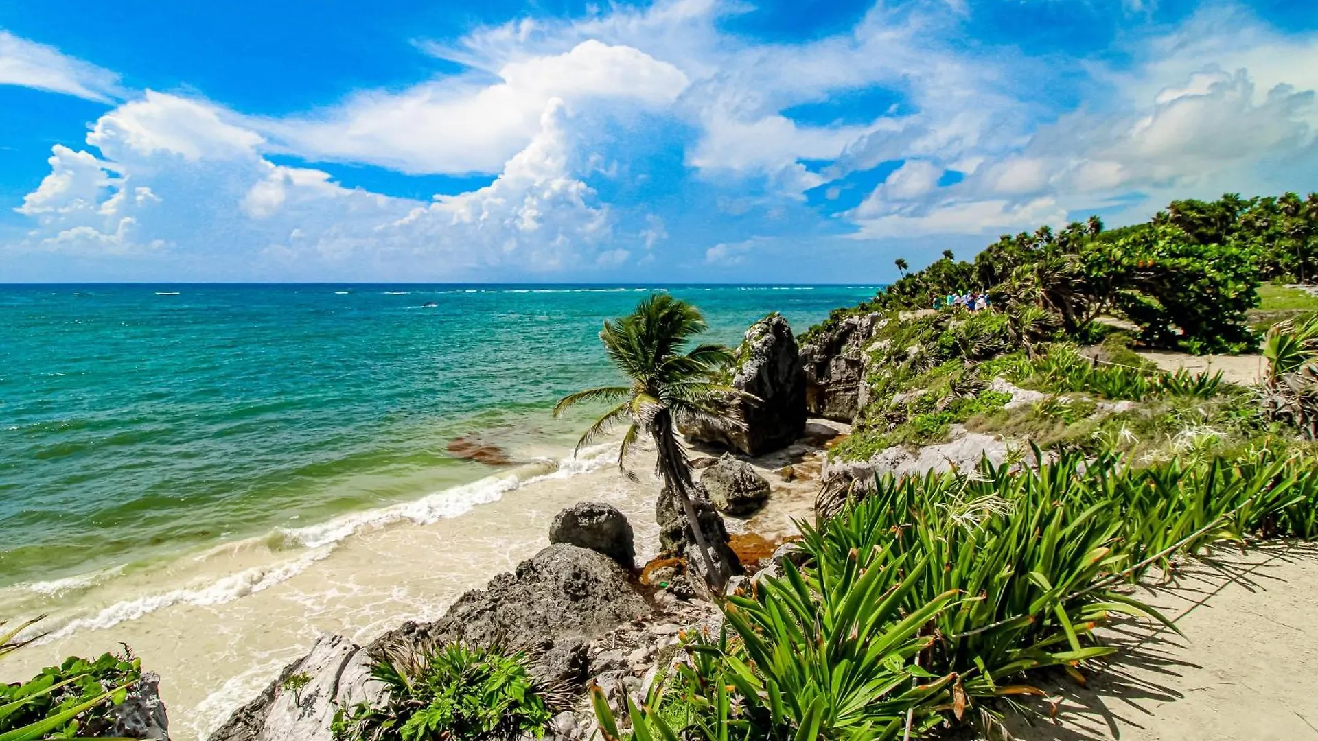 Blue Horizon @ Tao Edena 44 Villa Tulum Mexico